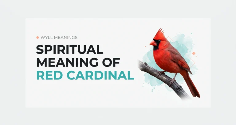 Red cardinal meaning featured image with a realistic red cardinal bird on a clean teal and off-white background.