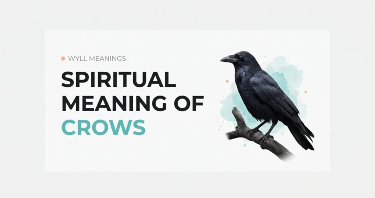 Spiritual meaning of crows realistic black crow photography with a clean teal and off-white editorial background.