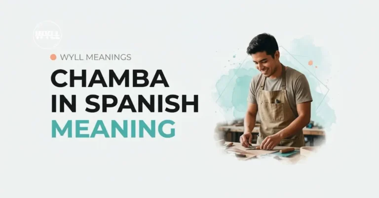 chamba meaning explained with a man holding a phone, featuring bold text and a clean, modern design.